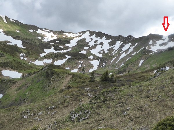 col de bise